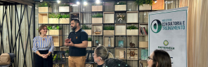 café fala consultor